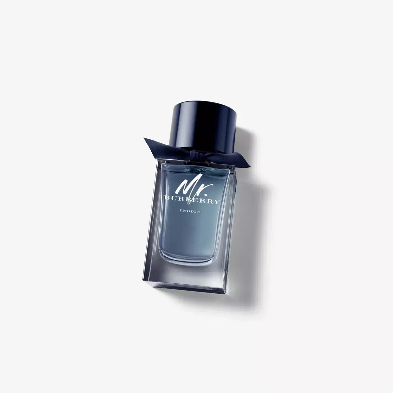 Burberry Mr. Burberry Indigo Eau de Toilette
