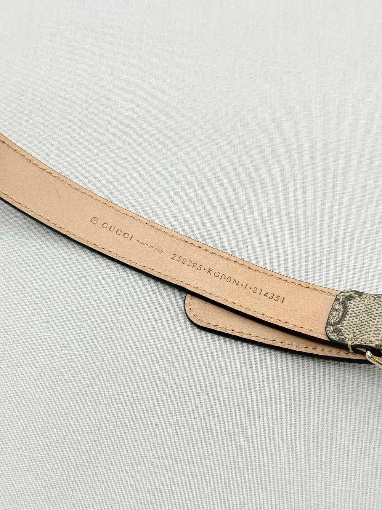 GUCCI Brown Monogram Belt