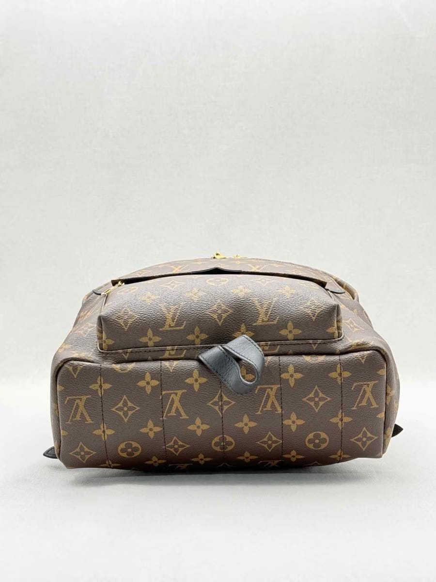 LOUIS VUITTON Palm Springs Brown Monogram Backpack