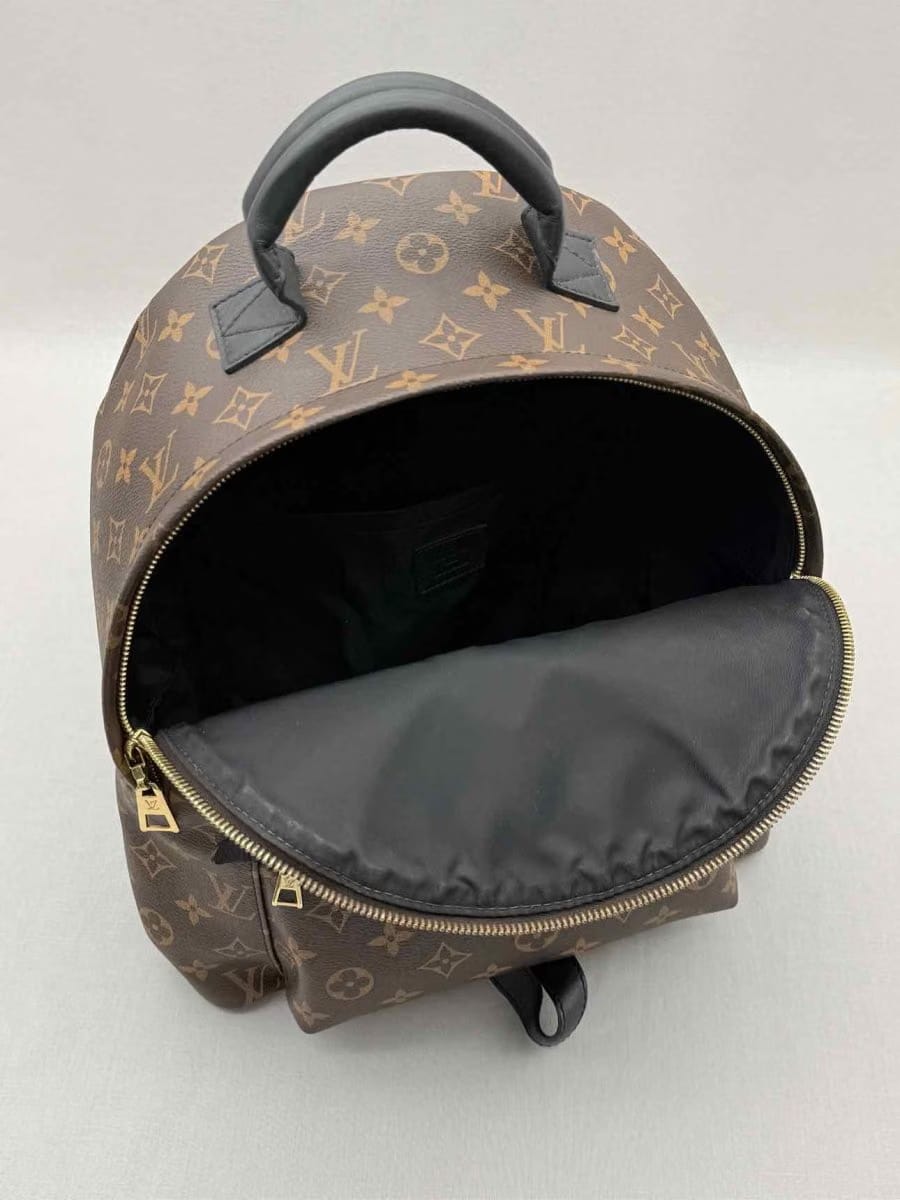 LOUIS VUITTON Palm Springs Brown Monogram Backpack