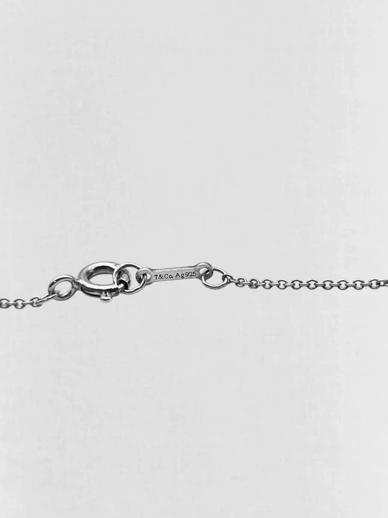 TIFFANY & CO Paloma Picasso Necklace