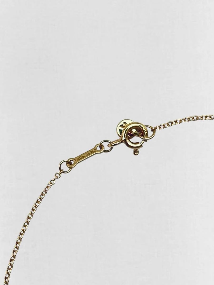TIFFANY & CO Paloma's Graffiti Necklace