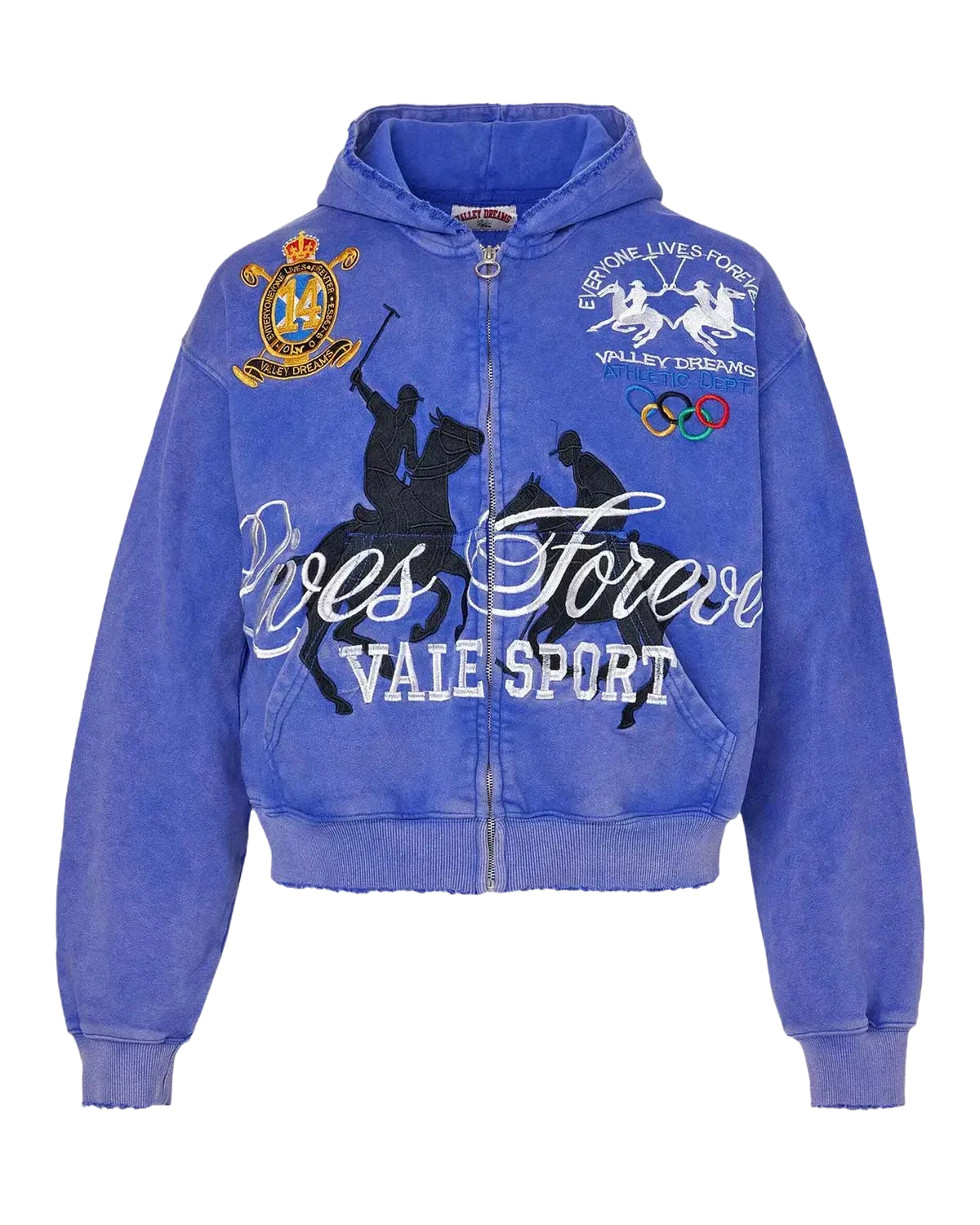 Vale Forever Schwab Zip Up Hoodie Blue