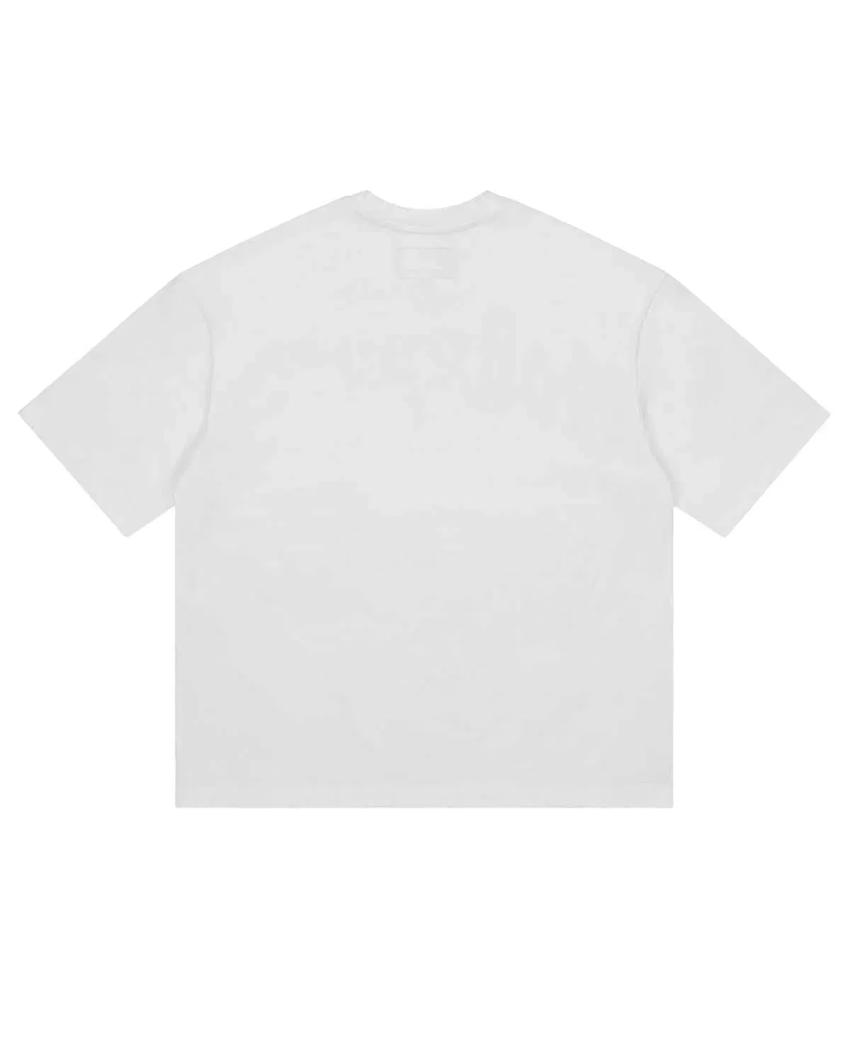 Godspeed Freedoms Protocol Tee White