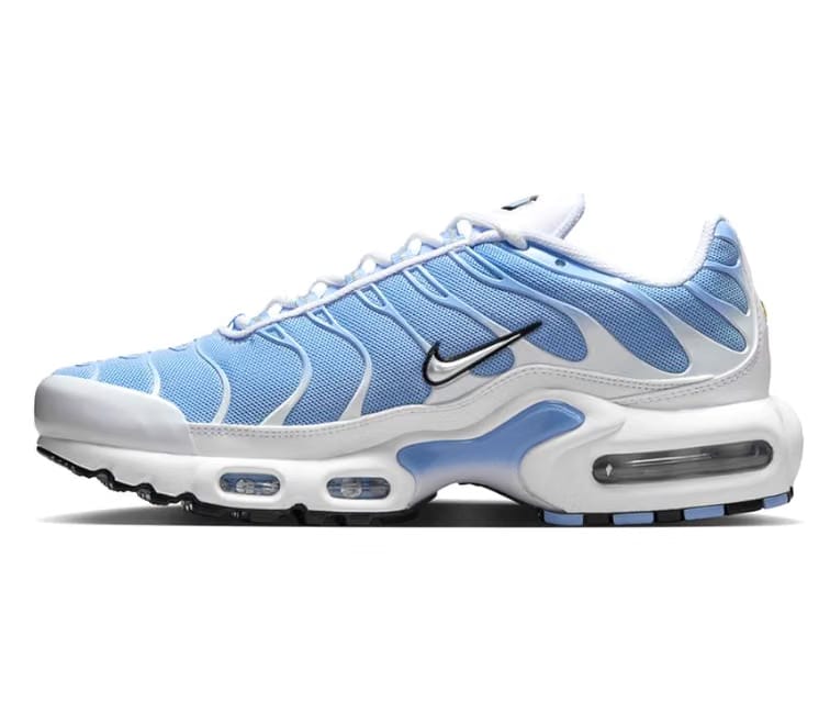 Nike Women's Nike Air Max Plus TN (White Aluminum)