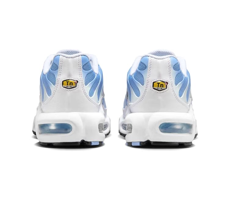 Nike Women's Nike Air Max Plus TN (White Aluminum)