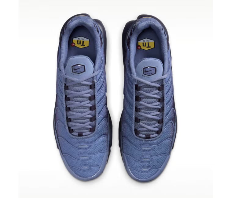 Nike Men’s Nike Air Max Plus TN (World Indigo)