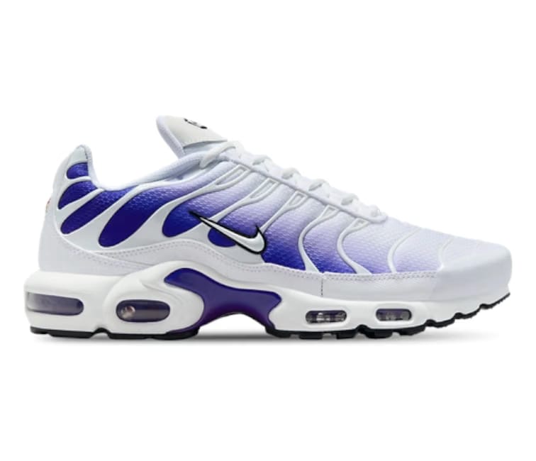 Nike Men's Nike Air Max Plus TN (Purple Fade)