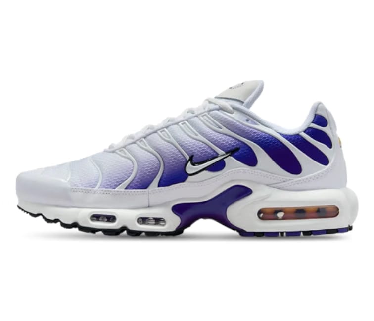 Nike Men's Nike Air Max Plus TN (Purple Fade)