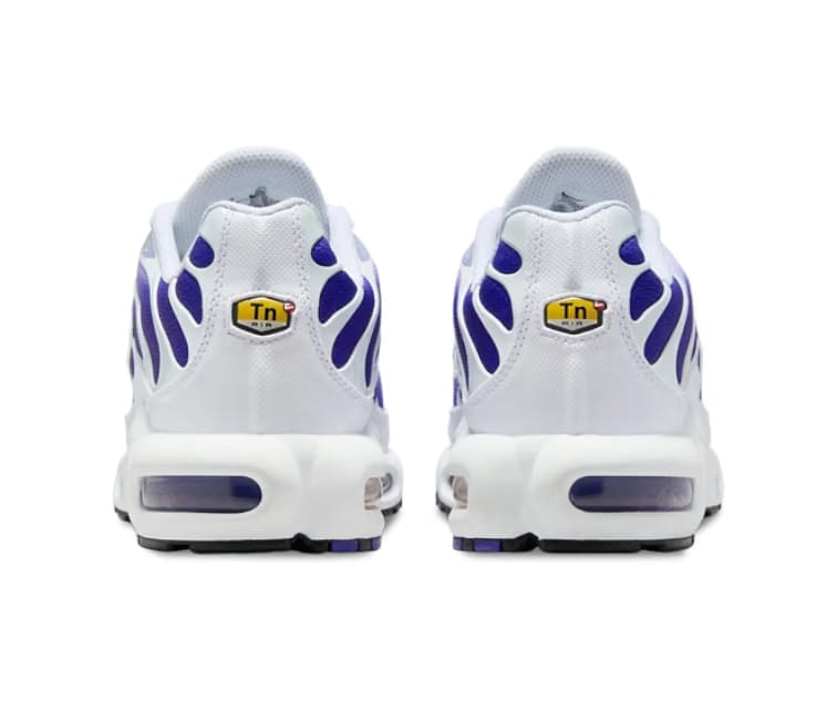 Nike Men's Nike Air Max Plus TN (Purple Fade)