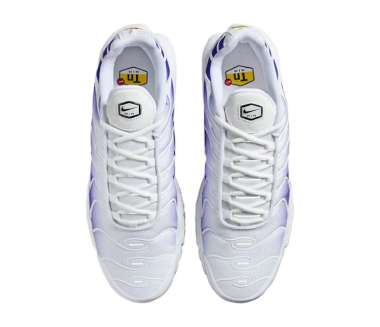 Nike Men's Nike Air Max Plus TN (Purple Fade)