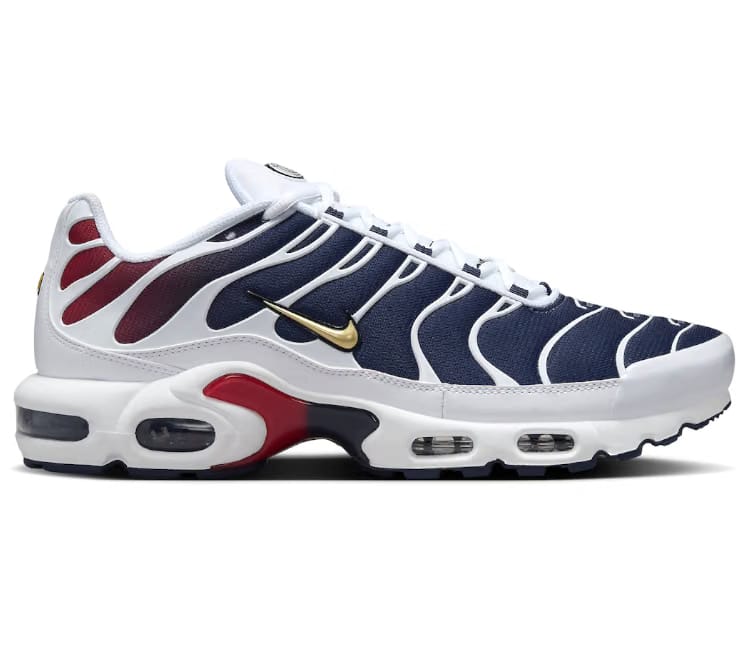Nike Men's Nike Air Max Plus TN (PSG)