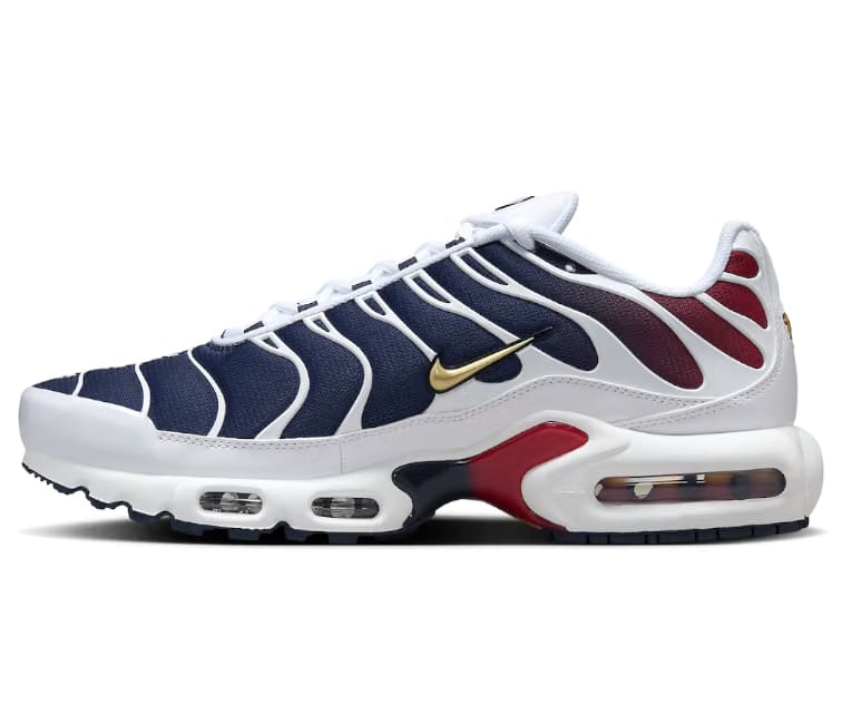 Nike Men's Nike Air Max Plus TN (PSG)