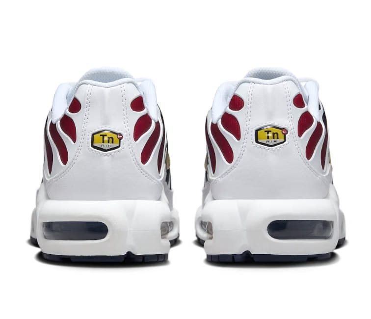 Nike Men's Nike Air Max Plus TN (PSG)