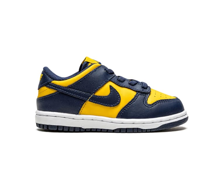 Nike Kids Nike Dunk Low (Michigan)