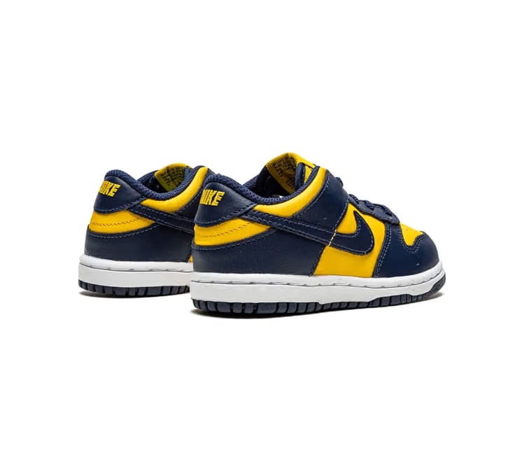 Nike Kids Nike Dunk Low (Michigan)