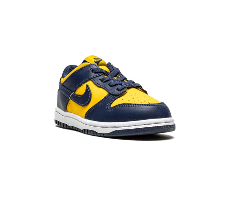 Nike Kids Nike Dunk Low (Michigan)