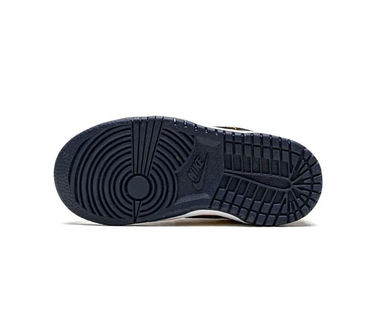 Nike Kids Nike Dunk Low (Michigan)