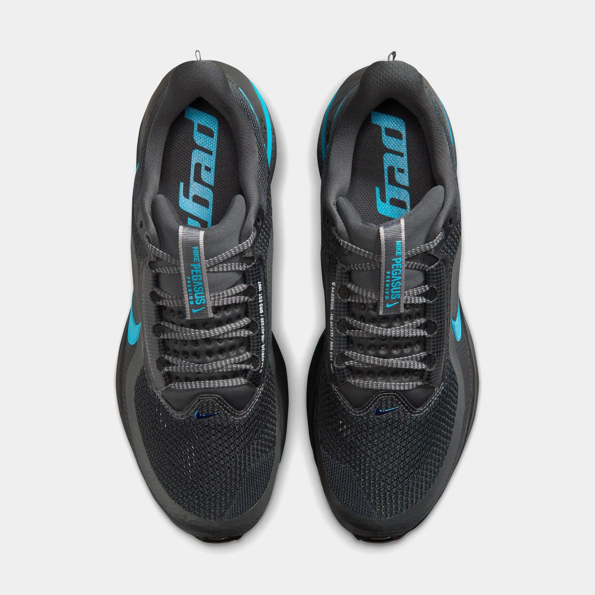 Nike Pegasus Premium Mens Running Shoes (Anthracite/light Current Blue/College Grey)