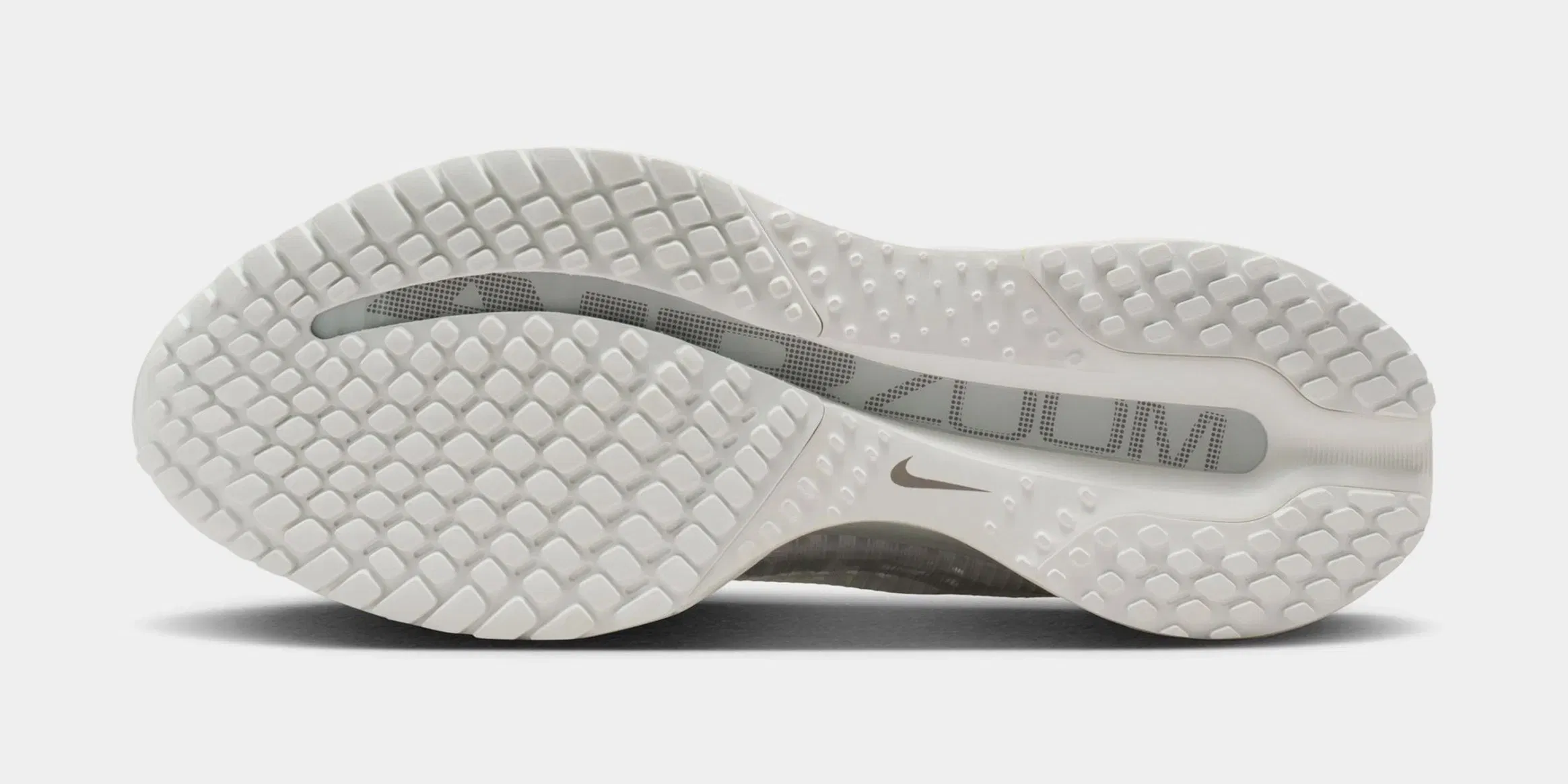 Nike Pegasus Premium Womens Running Shoes (Summit White/White/Pure Platinum)