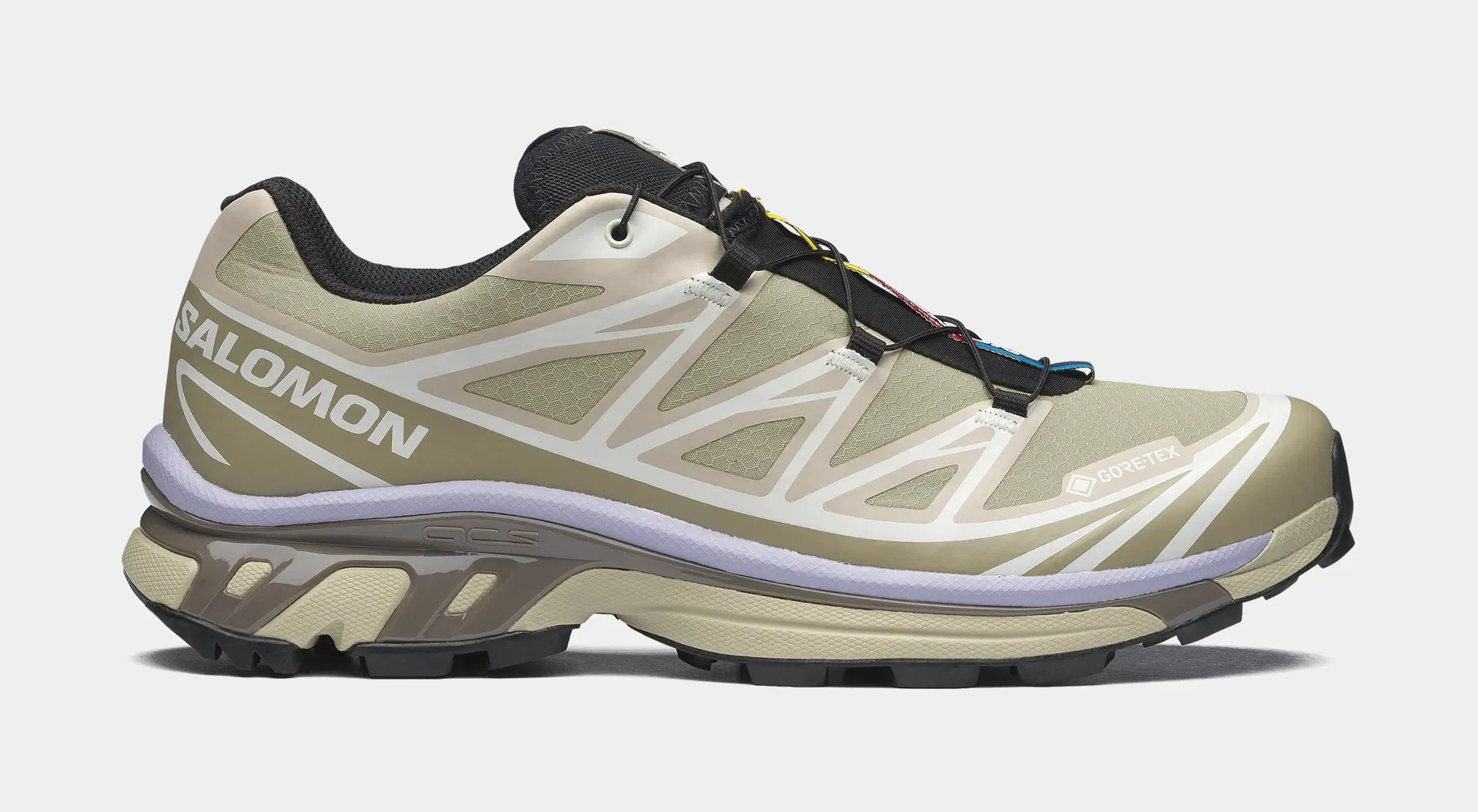 Salomon XT 6 GORE-TEX Mens Running Shoes (Eucalyptus/Silver Sage/Cosmic Sky)