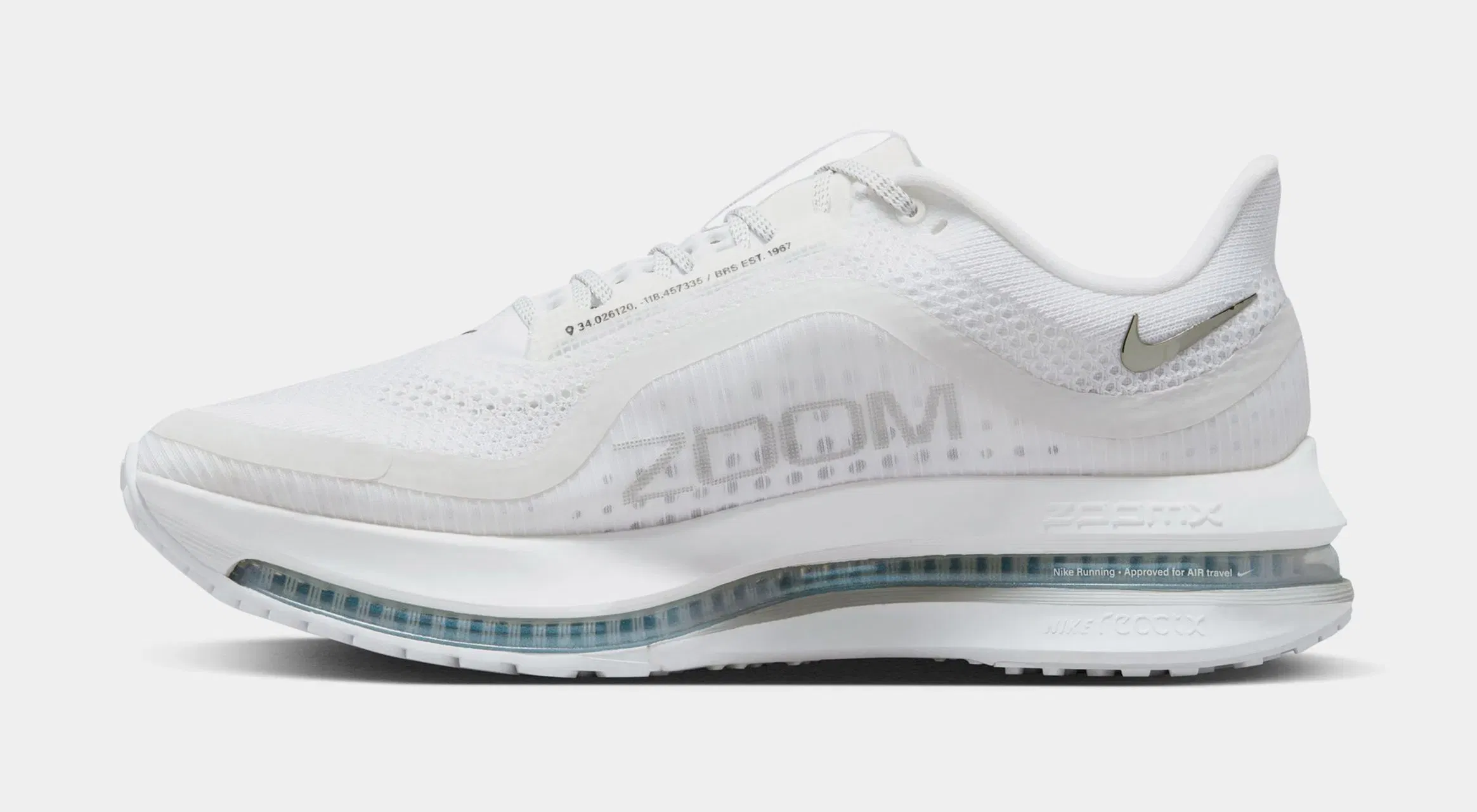 Nike Pegasus Premium Mens Running Shoes (White/Metallic Silver/Metallic Silver)