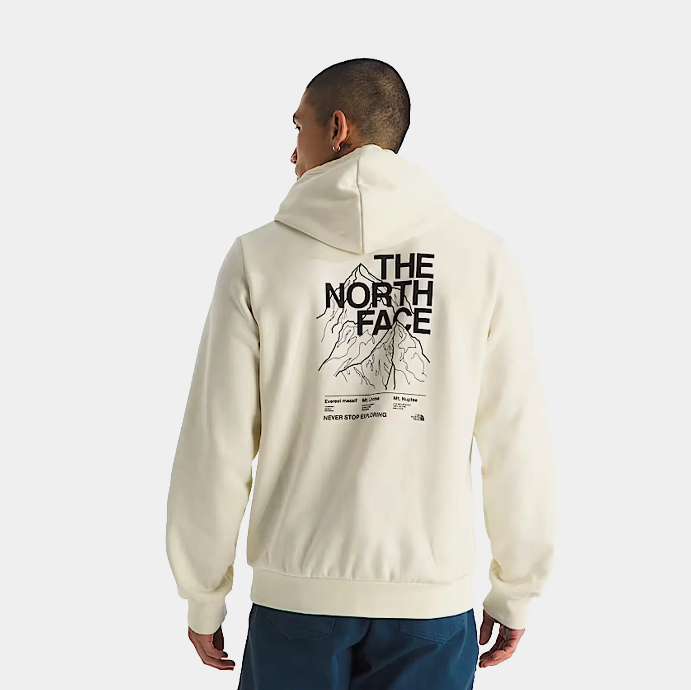 The North Face Evolution Half Dome Graphic Pullover Mens Hoodie (White Dune)