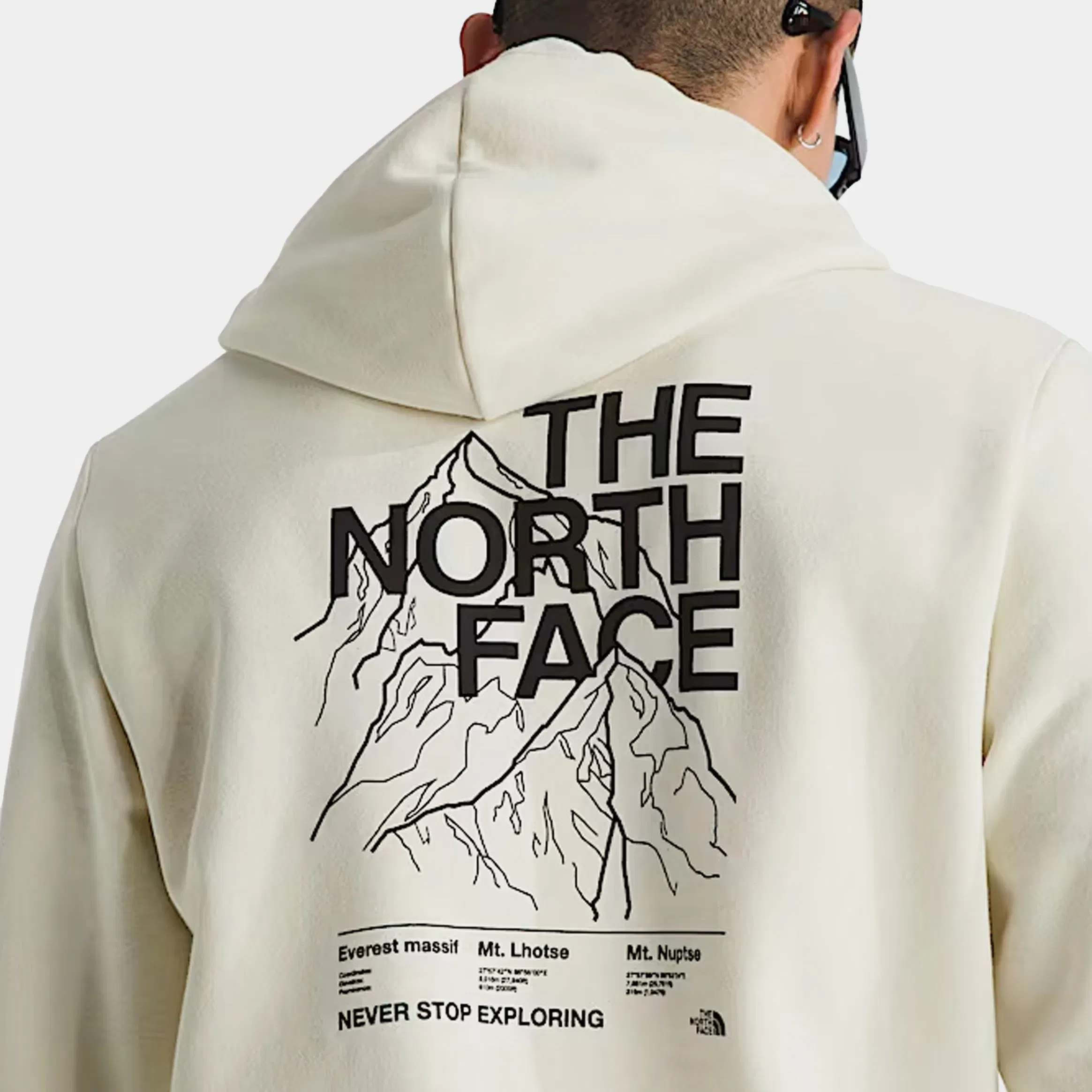 The North Face Evolution Half Dome Graphic Pullover Mens Hoodie (White Dune)