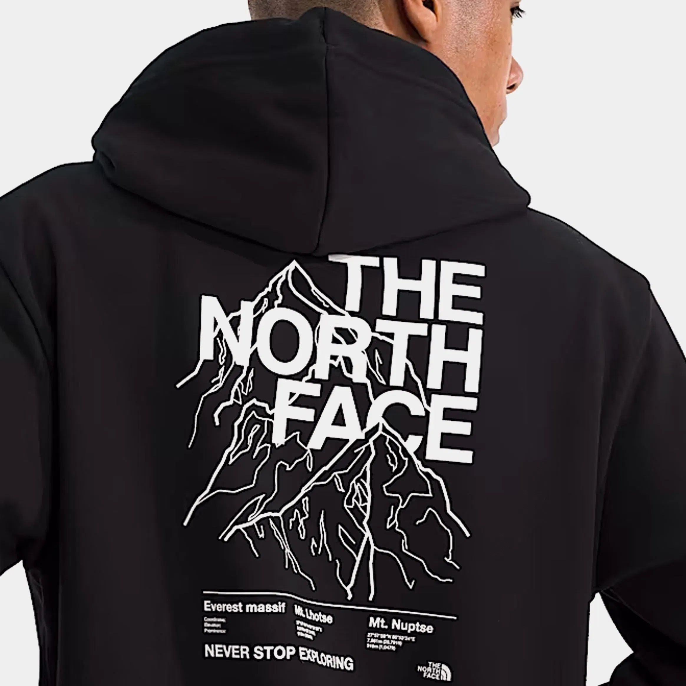 The North Face Evolution Half Dome Graphic Pullover Mens Hoodie (TNF Black)