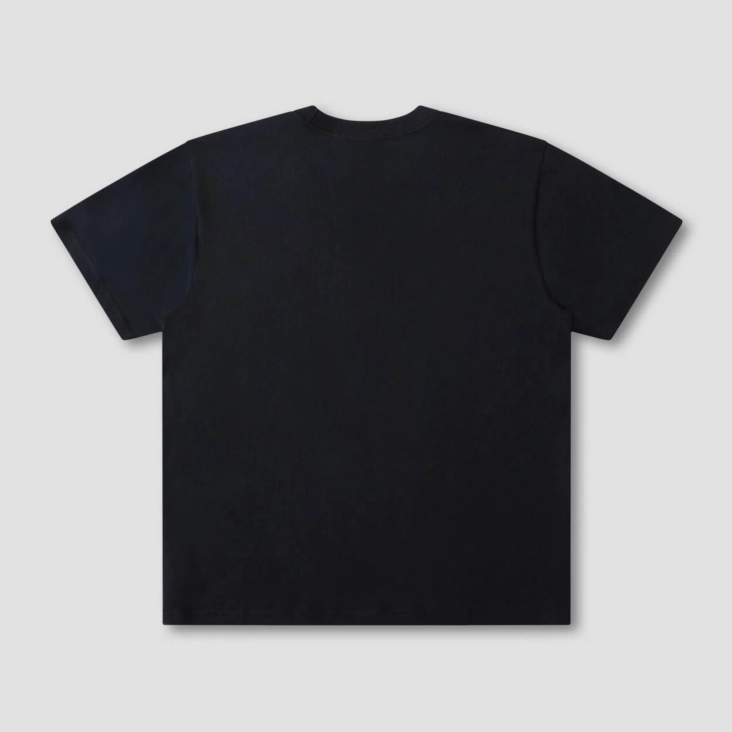 Former Shunning T-Shirt Washed Black