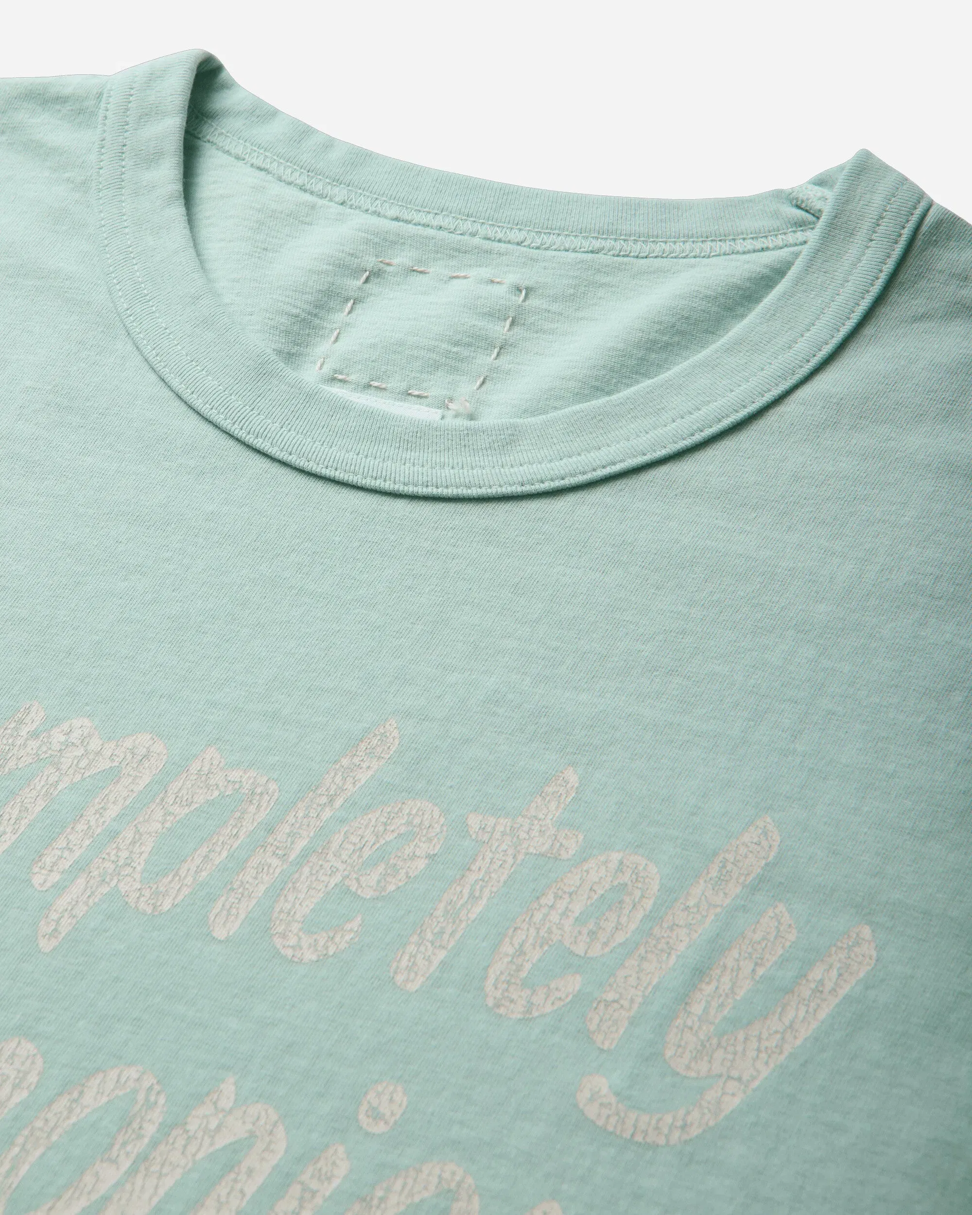 visvim Men's Jumbo T-Shirt DMGD Light Green