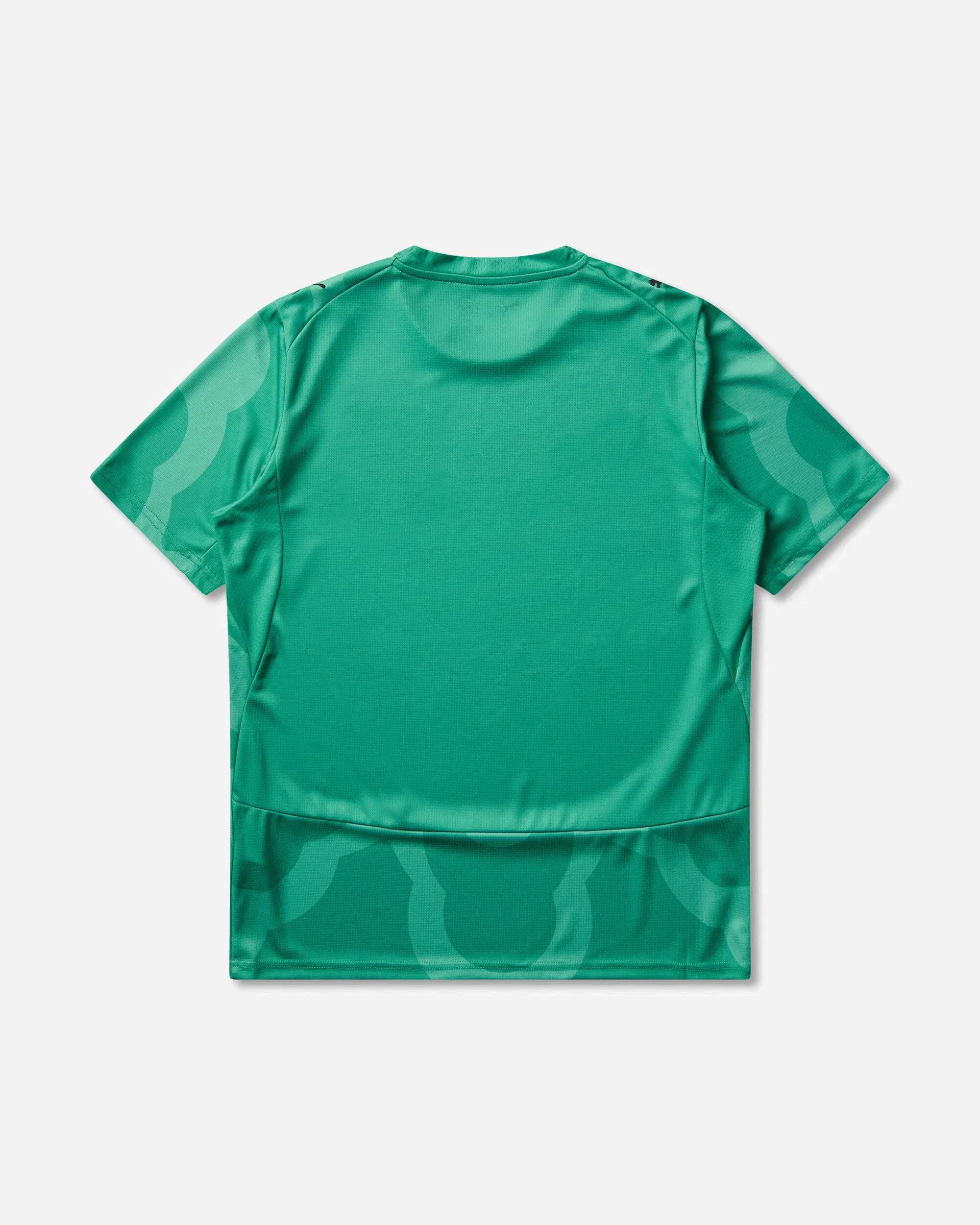 Puma Men's Côte d'Ivoire x Salehe Bembury Goalkeeper Jersey Sparkling Green