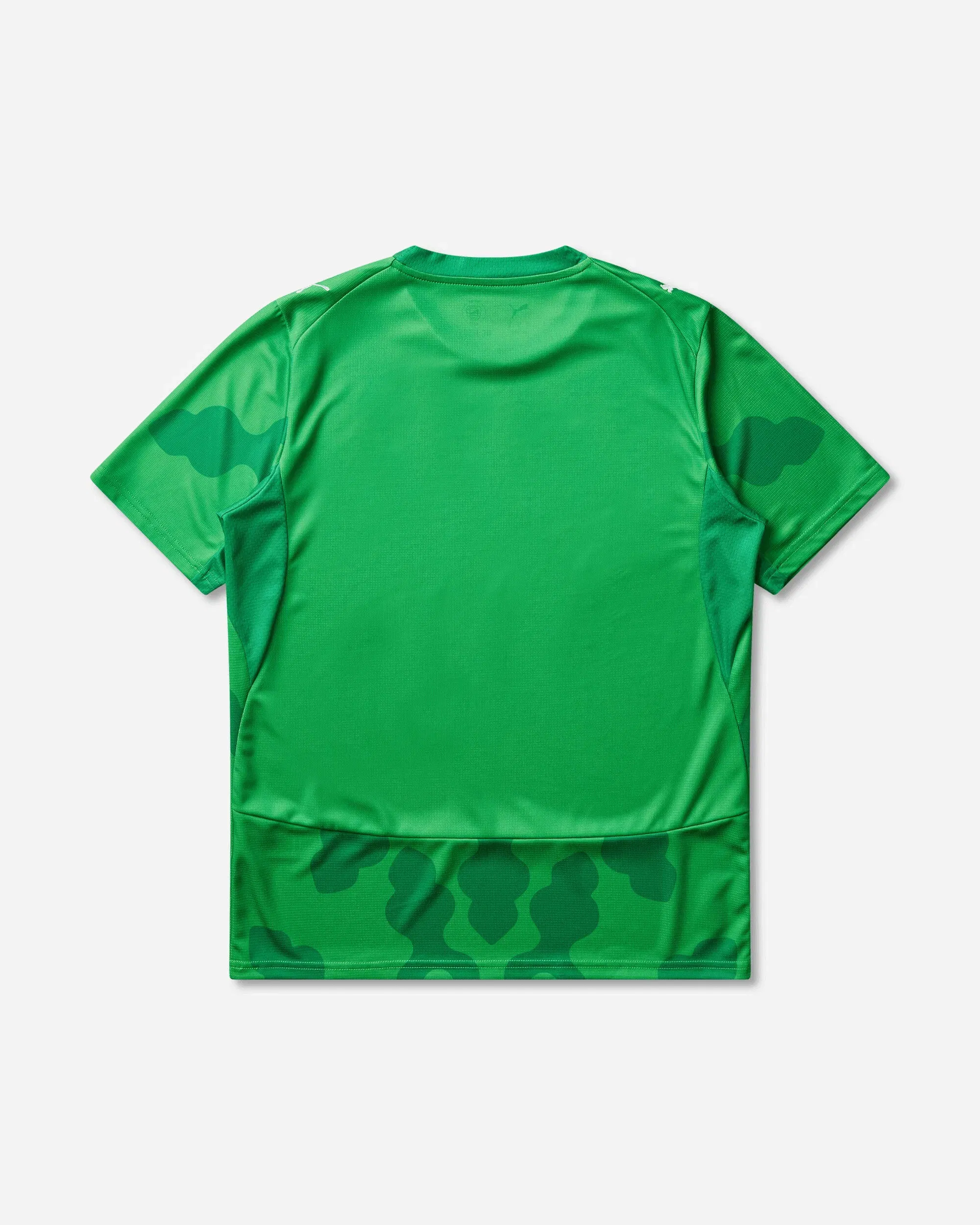 Puma Men's Egypt x Salehe Bembury Goalkeeper Jersey Fast Green