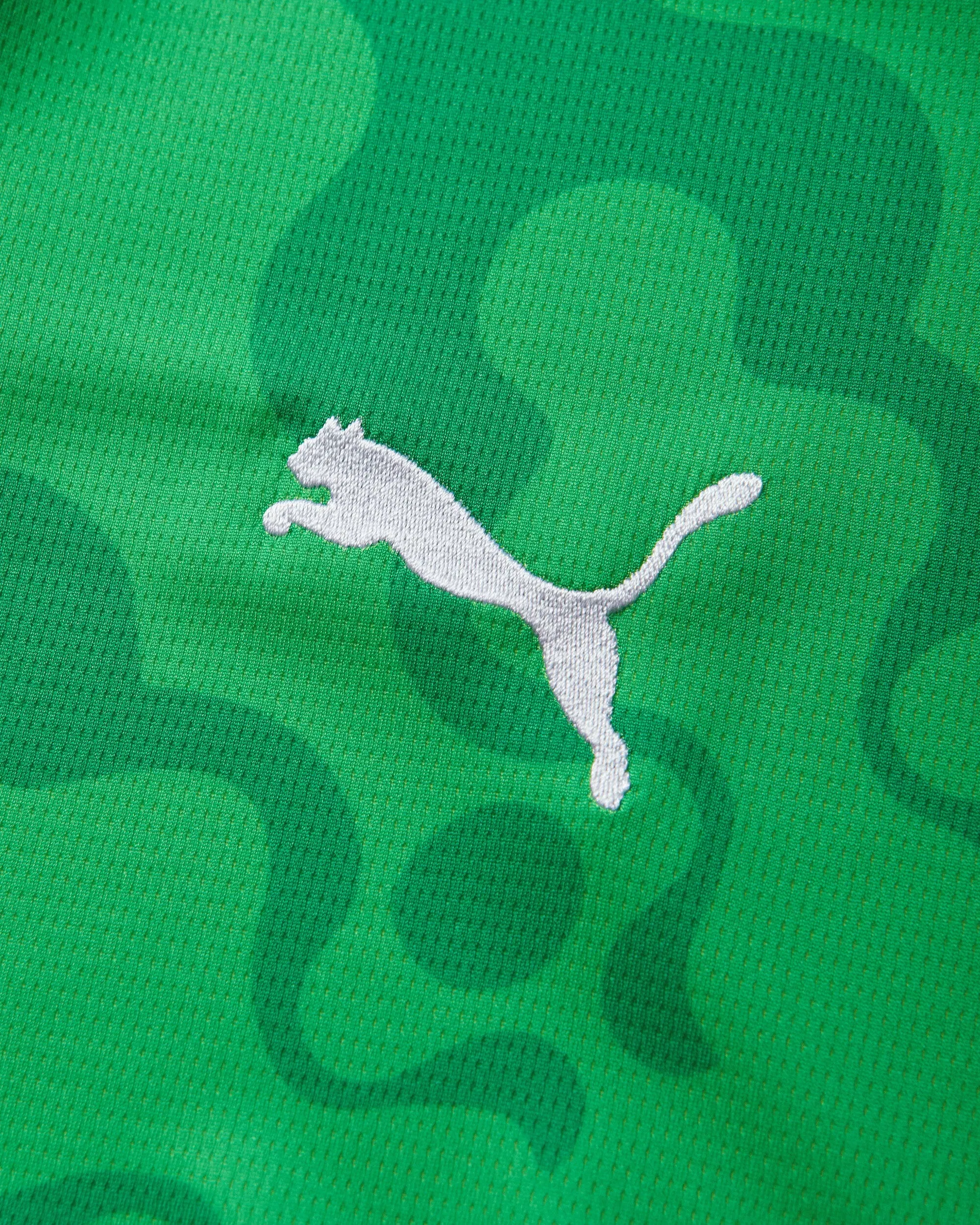 Puma Men's Egypt x Salehe Bembury Goalkeeper Jersey Fast Green
