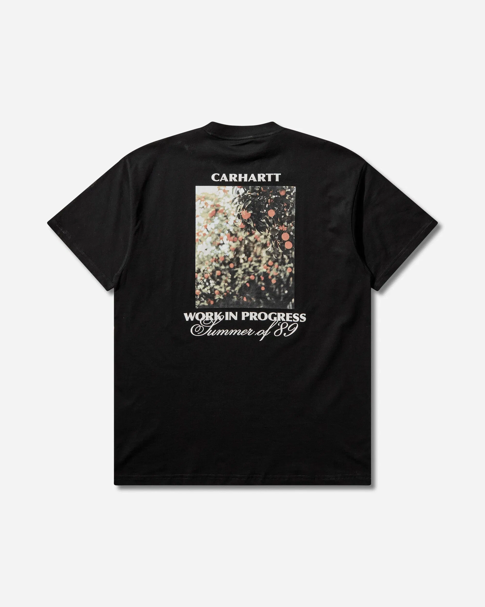 Carhartt WIP Men's Warm Views T-Shirt Black