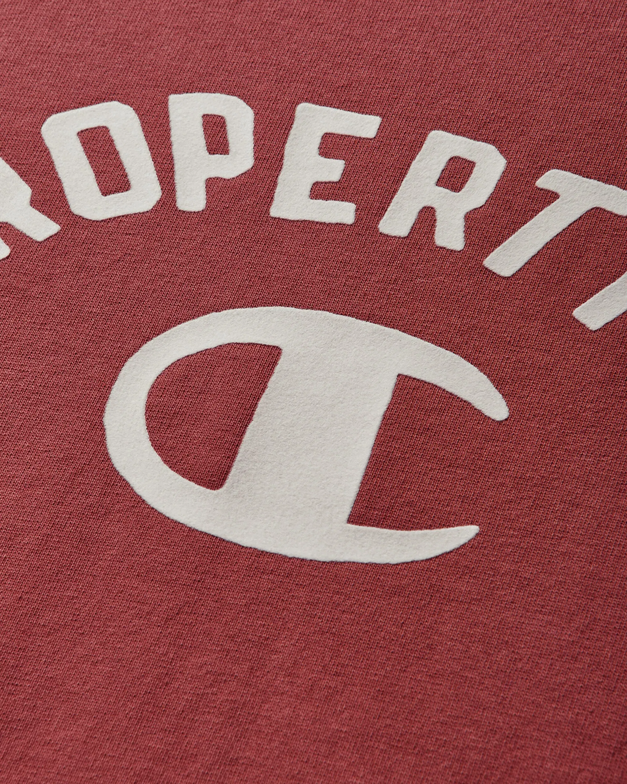 Champion Men's Time Capsule T-Shirt Red