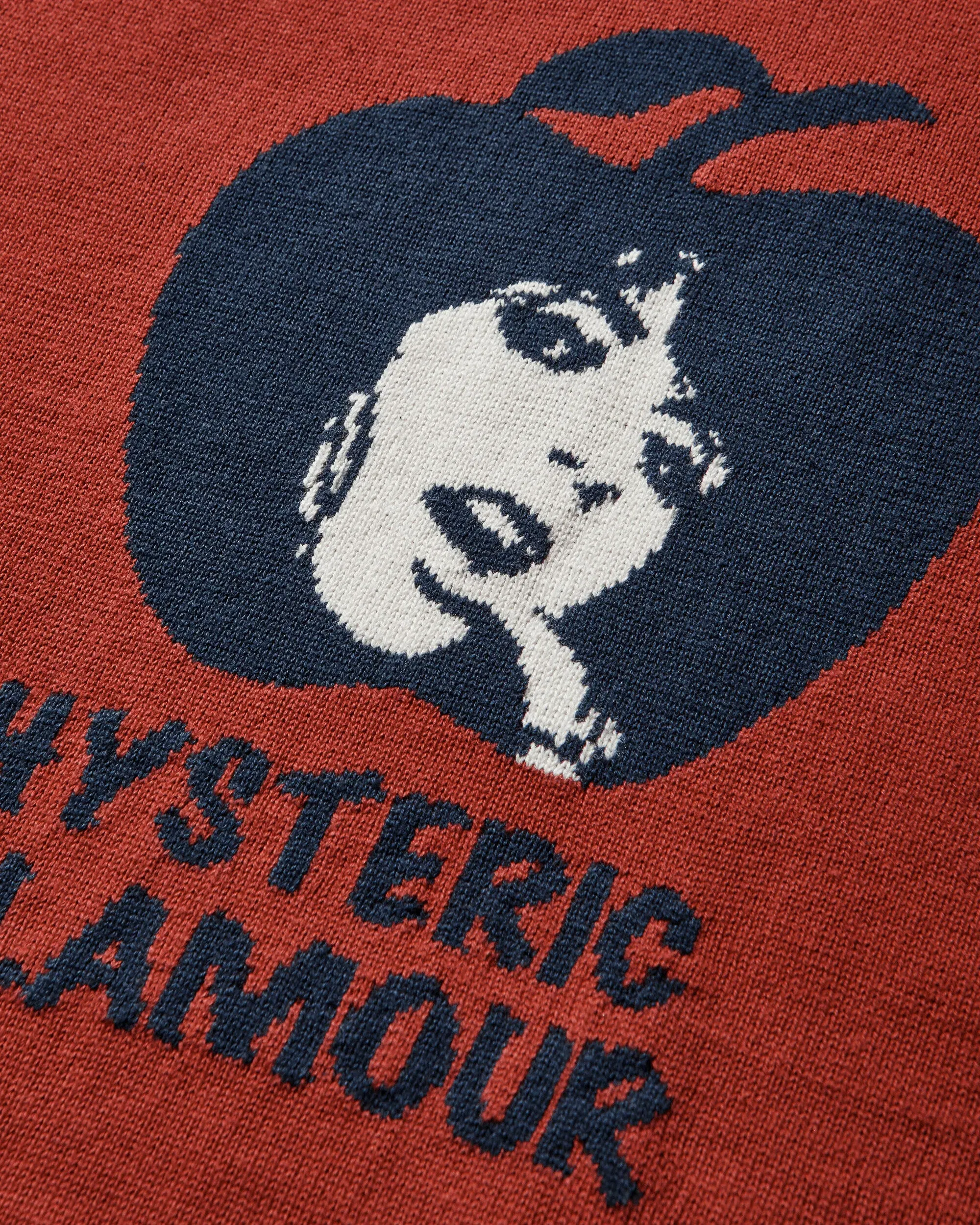 Hysteric Glamour Women's Apple Girl Knitted Hoodie Multicolor