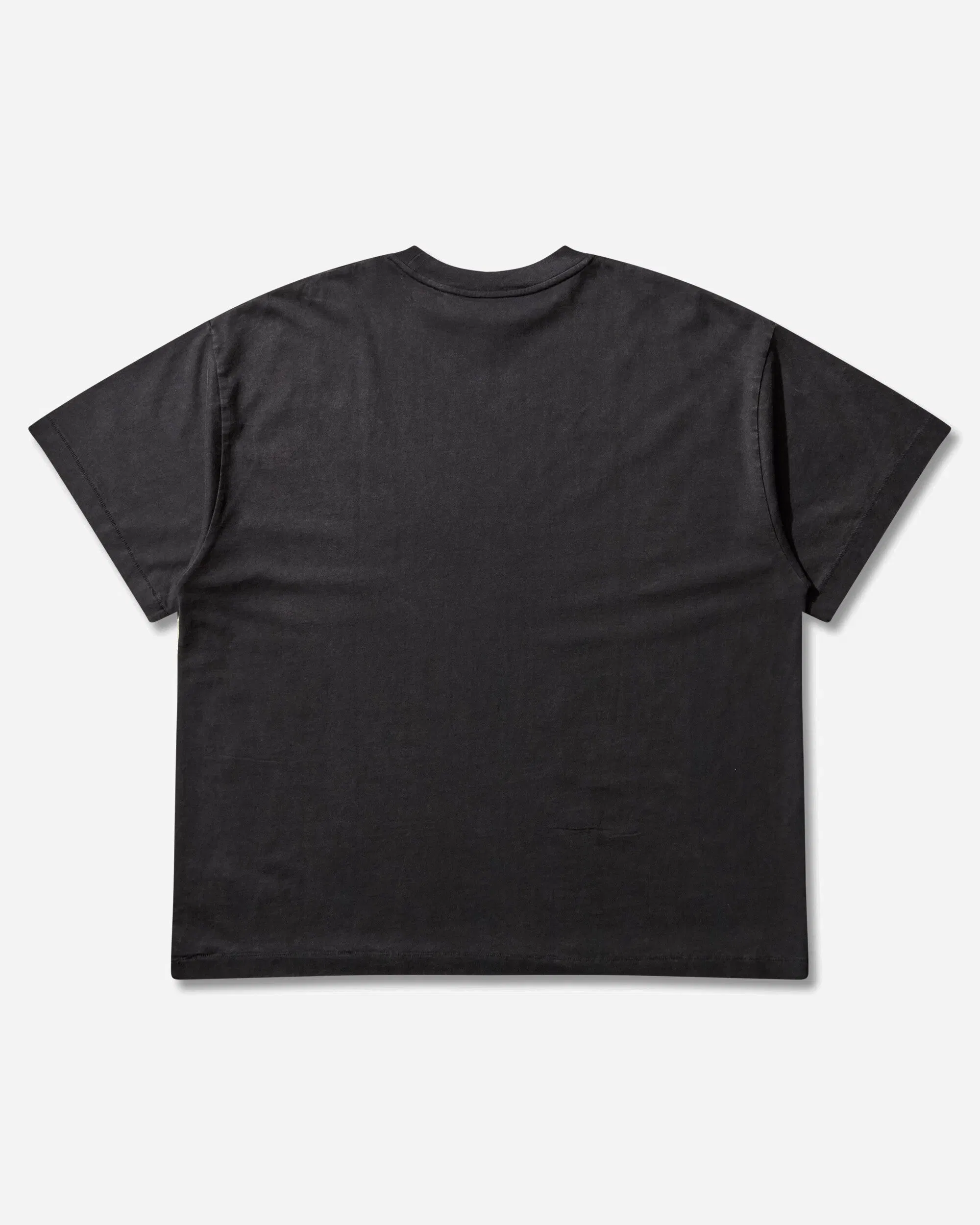 Vans Act of Disagreement Brushed Logo T-Shirt Washed Black