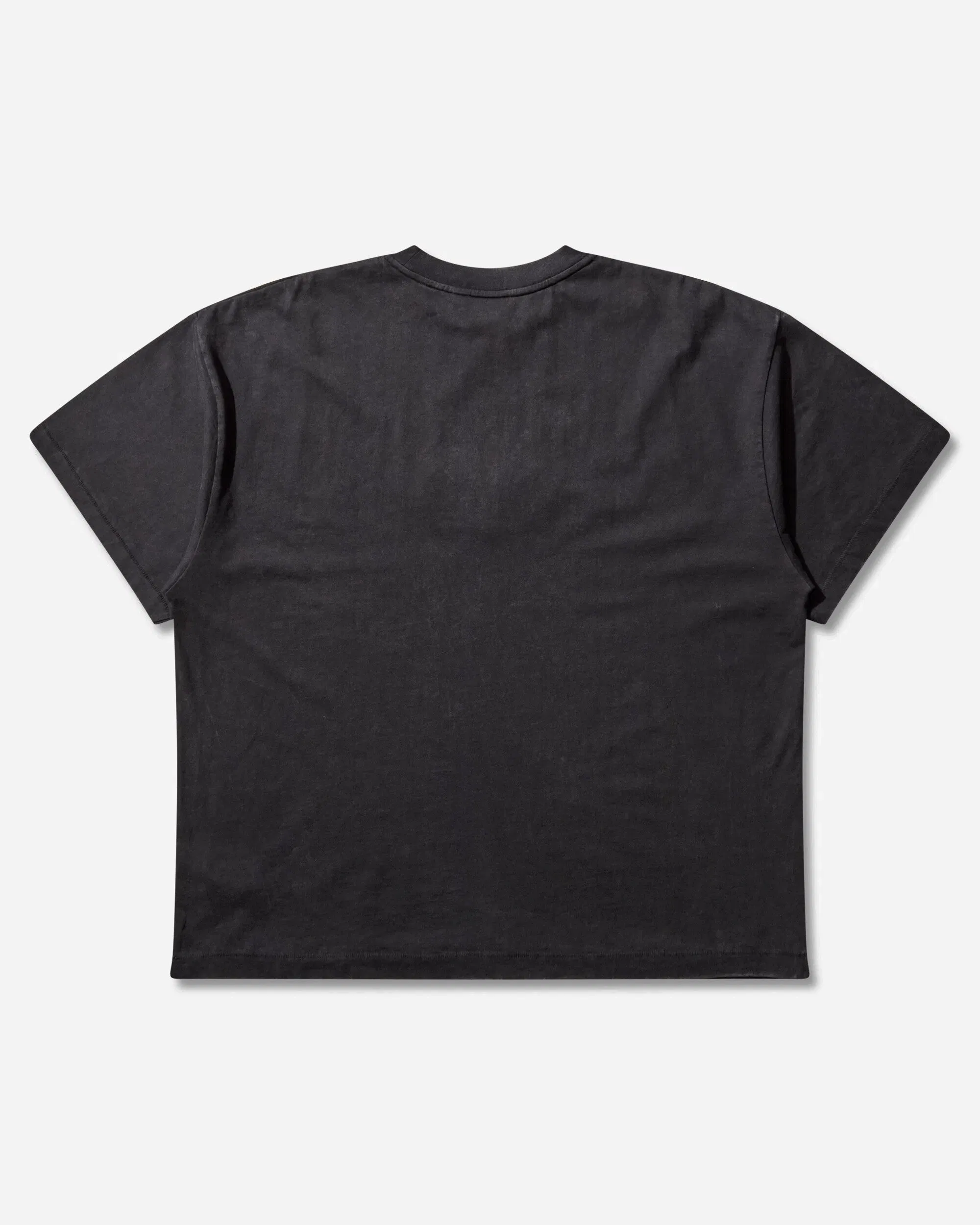 Vans Act of Disagreement Oval Logo T-Shirt Washed Black