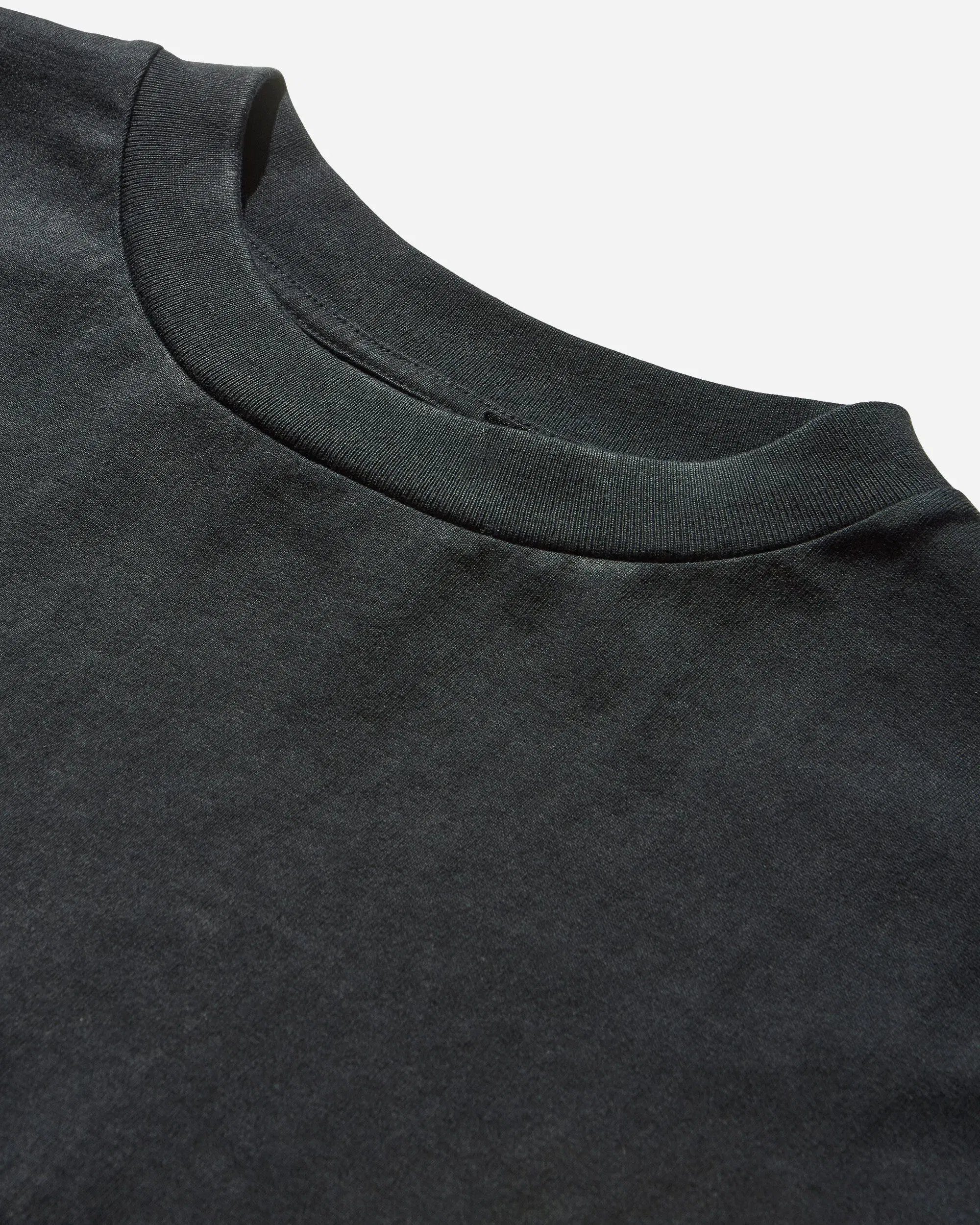 Vans Act of Disagreement Oval Logo T-Shirt Washed Black