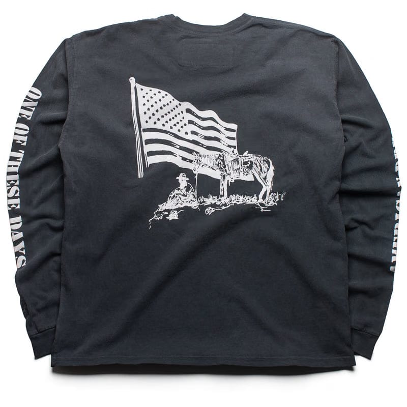 One Of These Days American Flag L/S Tee - Washed Black