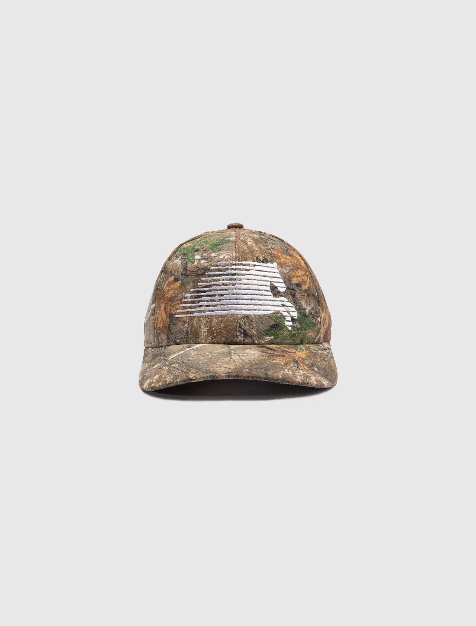 ONE OF THESE DAYS NORTHERN SKY TRUCKIN 6 PANEL HAT