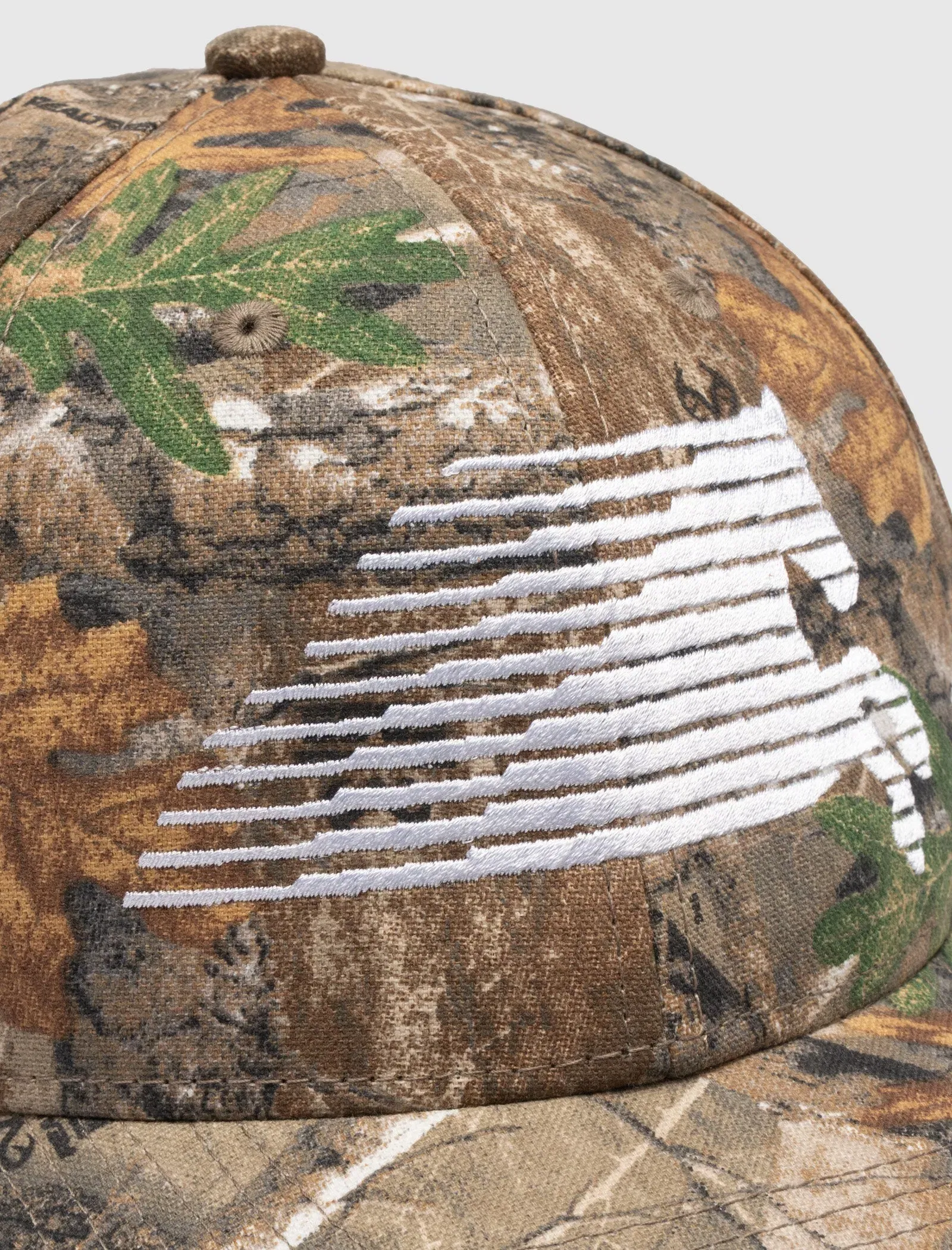 ONE OF THESE DAYS NORTHERN SKY TRUCKIN 6 PANEL HAT