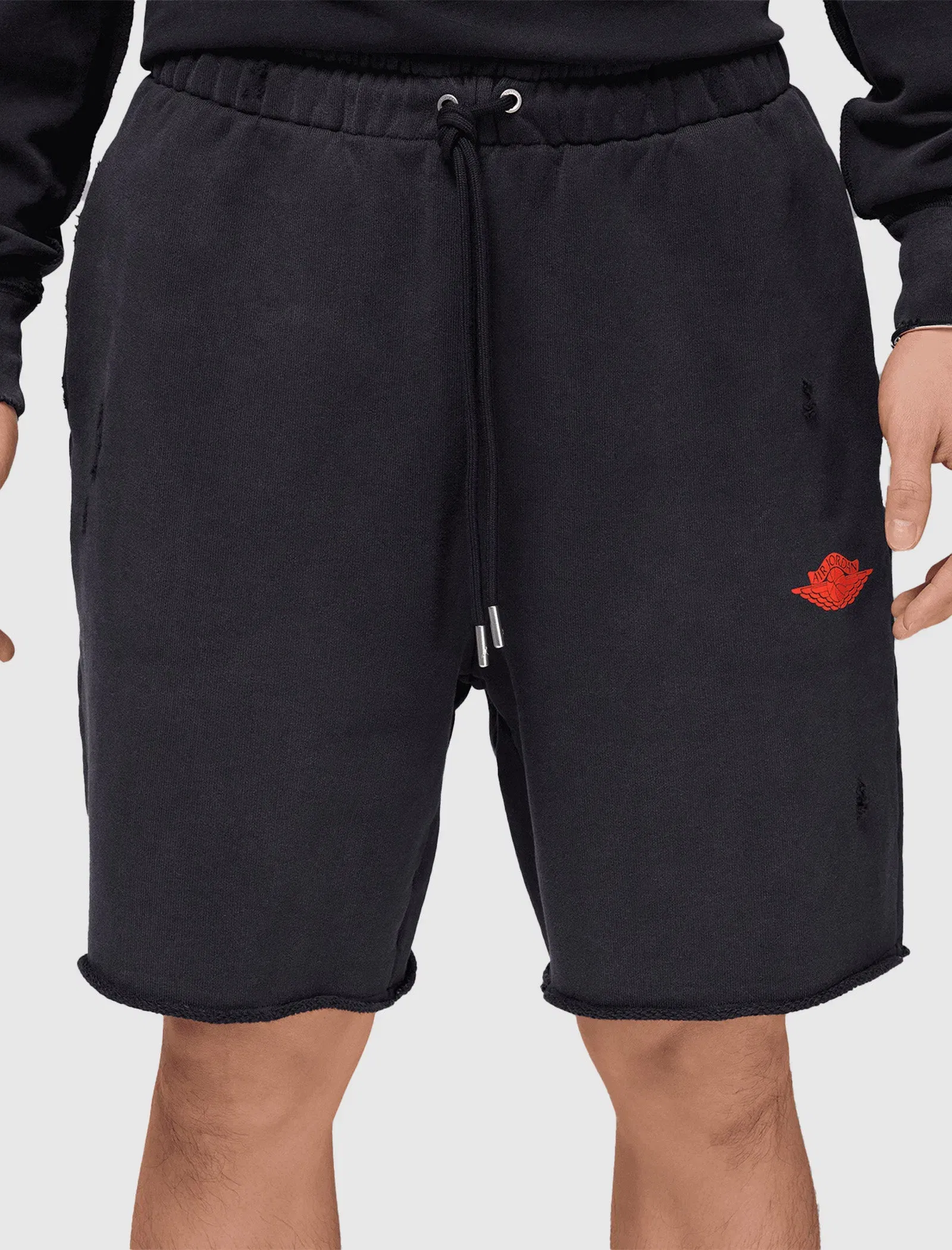 Air Jordan RARE AIR SHORTS