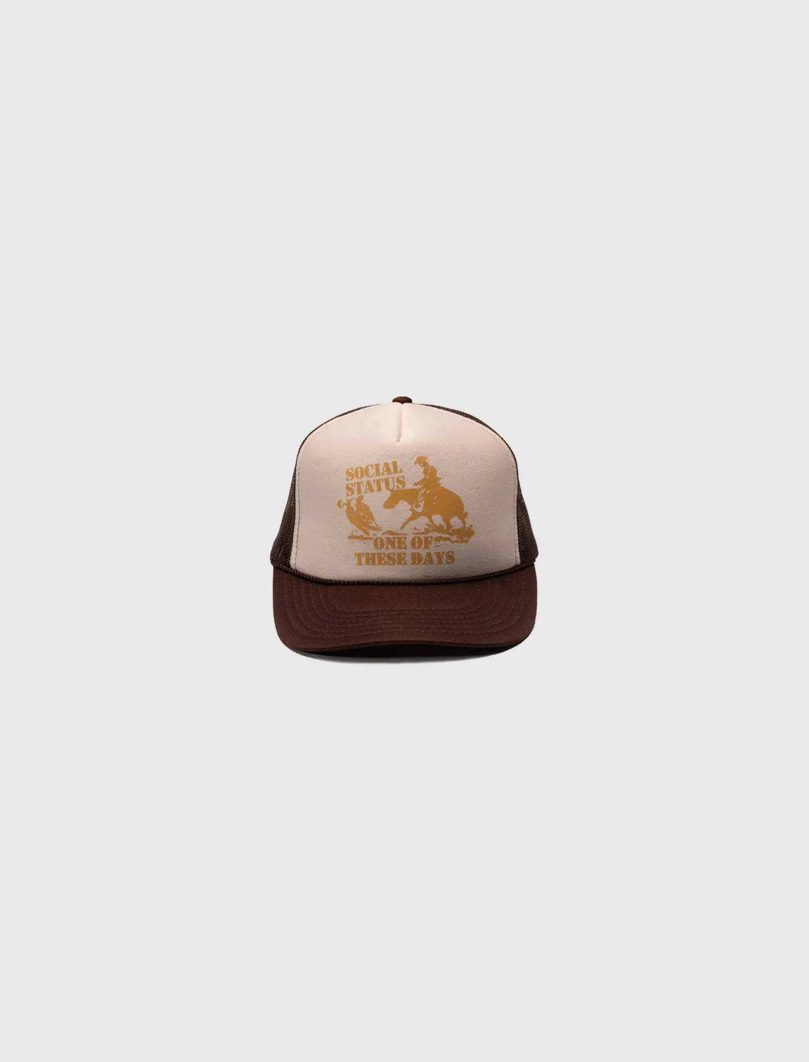 ONE OF THESE DAYS ROUND UP TRUCKER HAT