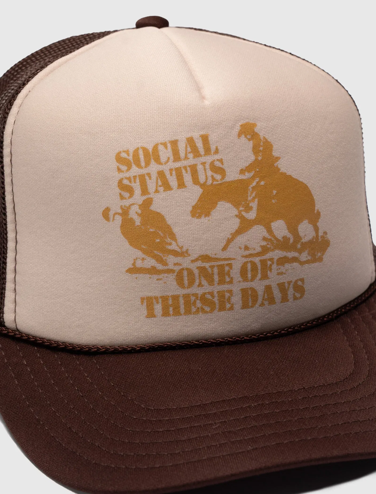ONE OF THESE DAYS ROUND UP TRUCKER HAT