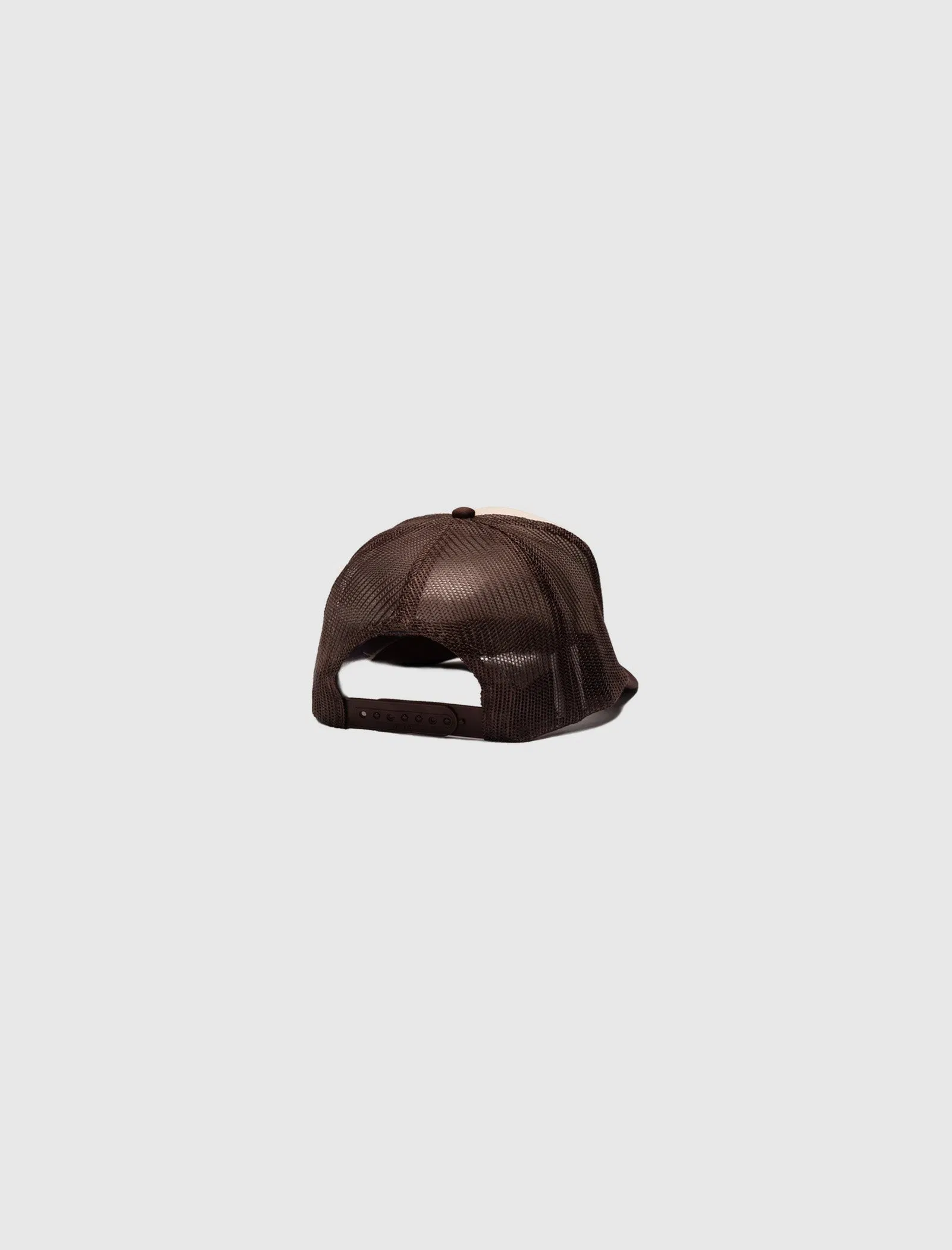 ONE OF THESE DAYS ROUND UP TRUCKER HAT