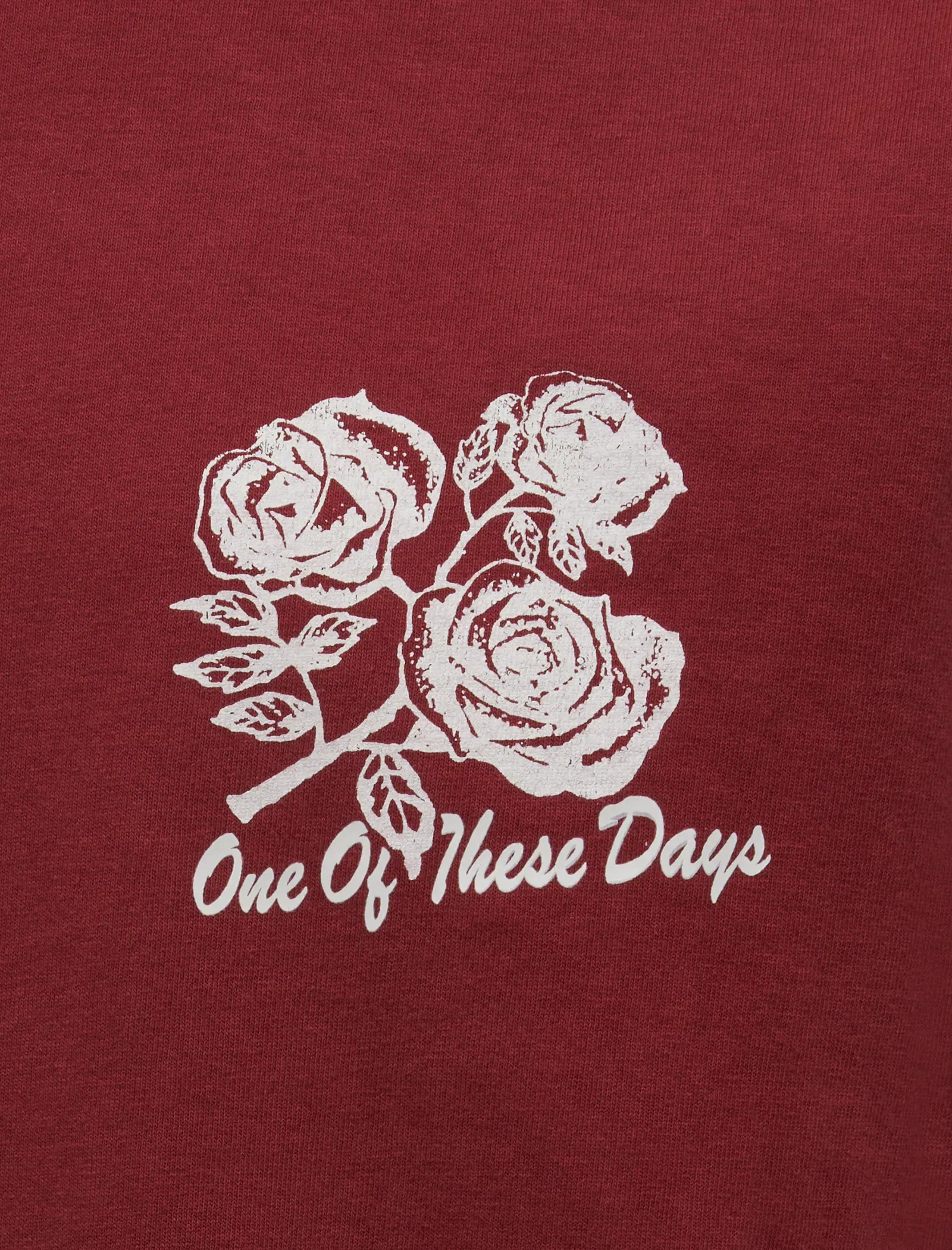 ONE OF THESE DAYS SWEET JANE T-SHIRT