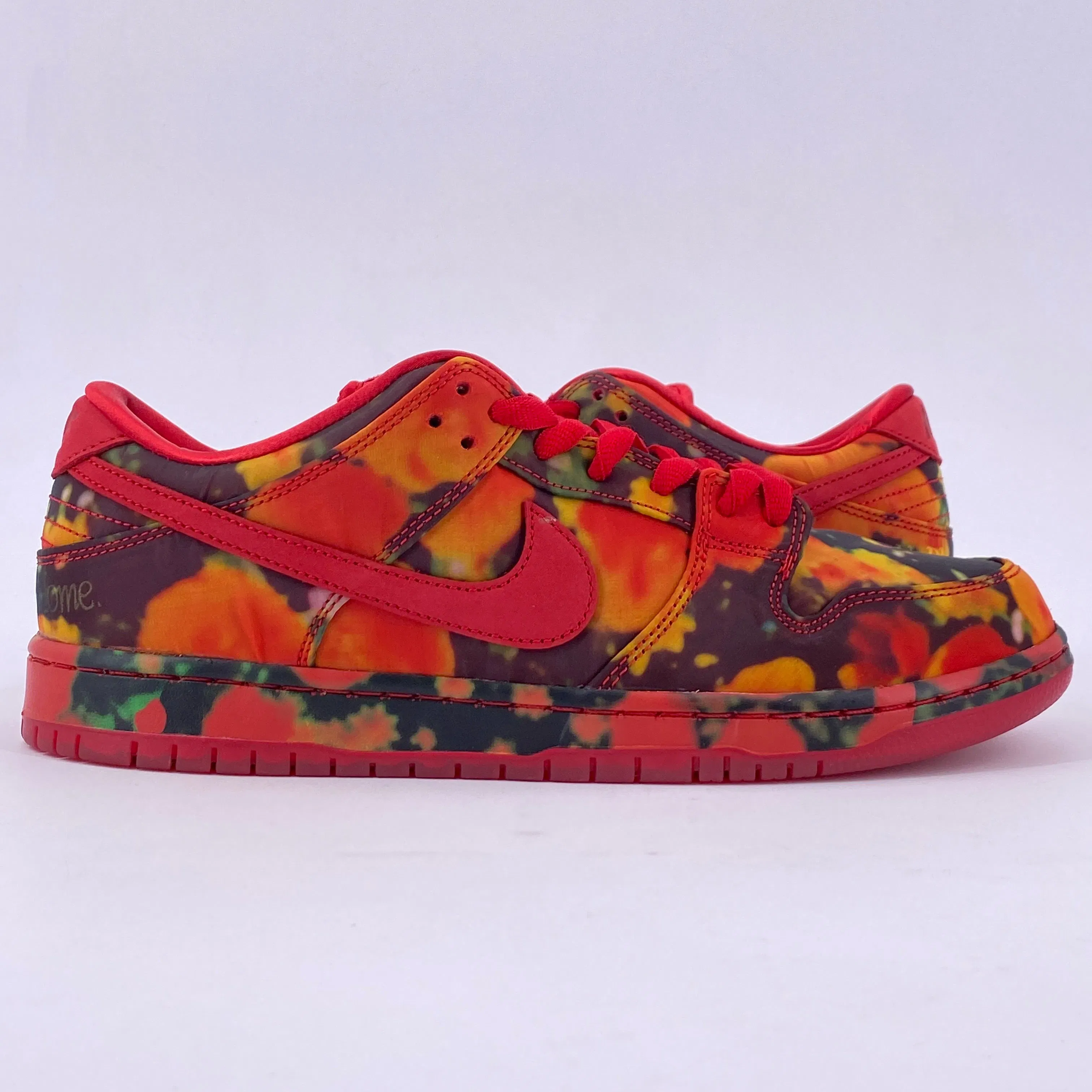 Nike SB Dunk Low "Wizard Of Oz" 2024 New Size 11
