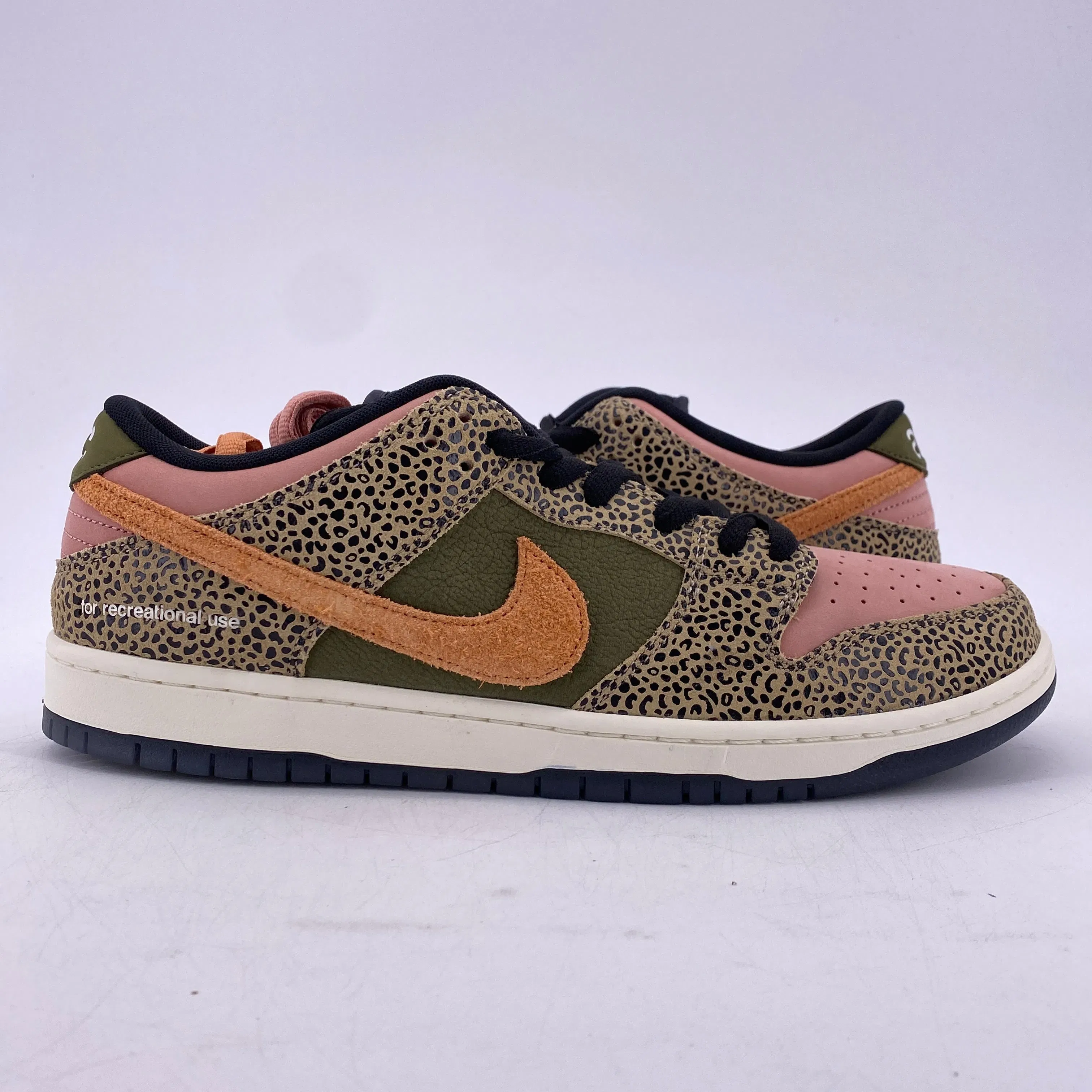 Nike SB Dunk Low Pro "Arts-Rec" 2025 New Size 13